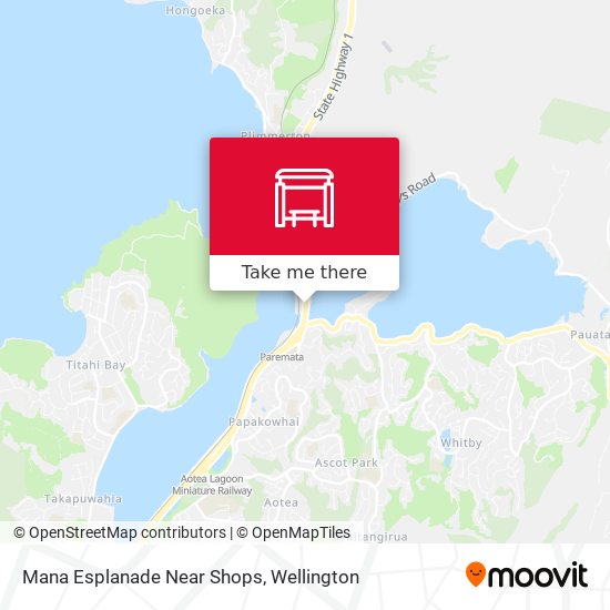 Mana Esplanade Near Shops map