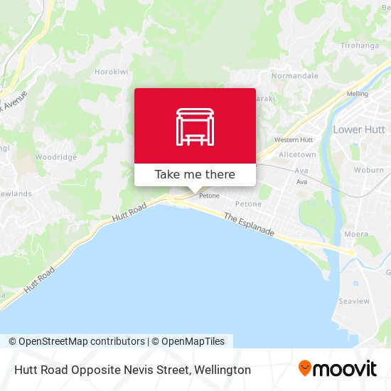 Hutt Road Opposite Nevis Street地图
