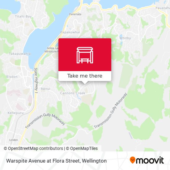 Warspite Avenue at Flora Street map