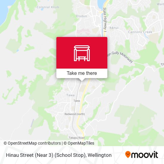 Hinau Street (Near 3) (School Stop) map