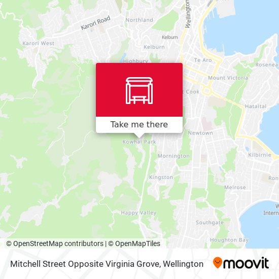 Mitchell Street Opposite Virginia Grove map