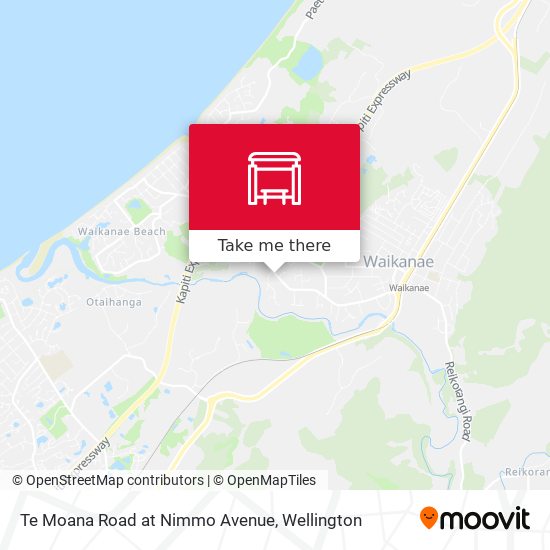 Te Moana Road at Nimmo Avenue map