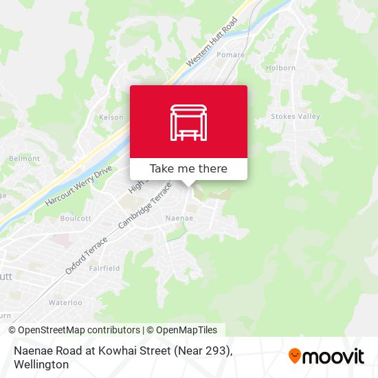 Naenae Road at Kowhai Street (Near 293) map