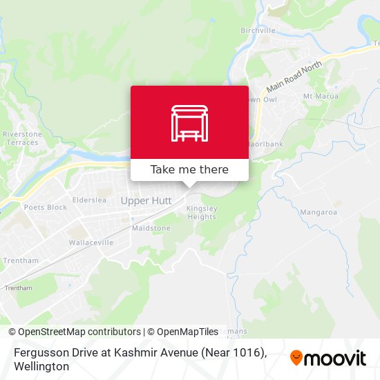Fergusson Drive at Kashmir Avenue (Near 1016) map