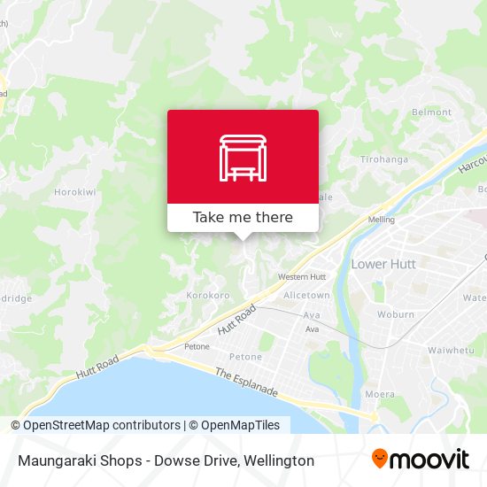 Maungaraki Shops - Dowse Drive地图