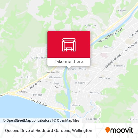 Queens Drive at Riddiford Gardens地图