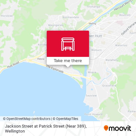 Jackson Street at Patrick Street (Near 389) map