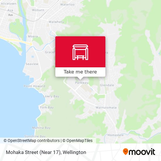 Mohaka Street (Near 17) map