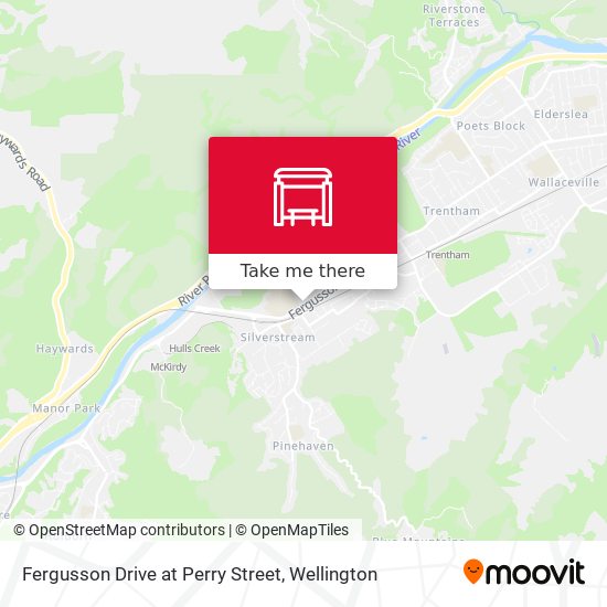 Fergusson Drive at Perry Street map