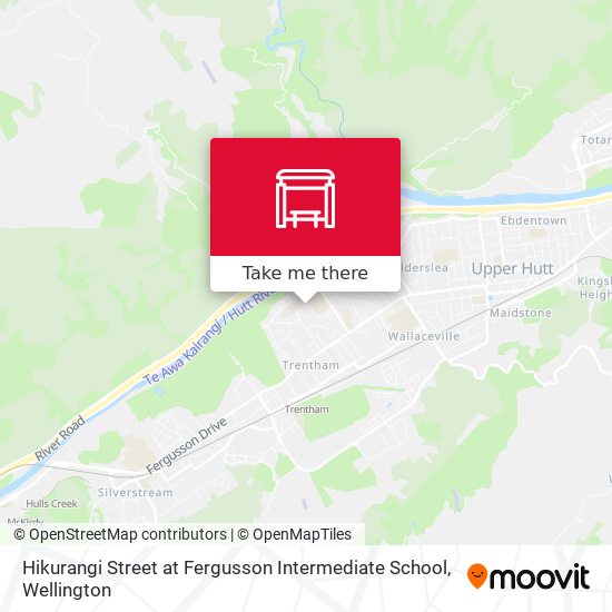 Hikurangi Street at Fergusson Intermediate School map
