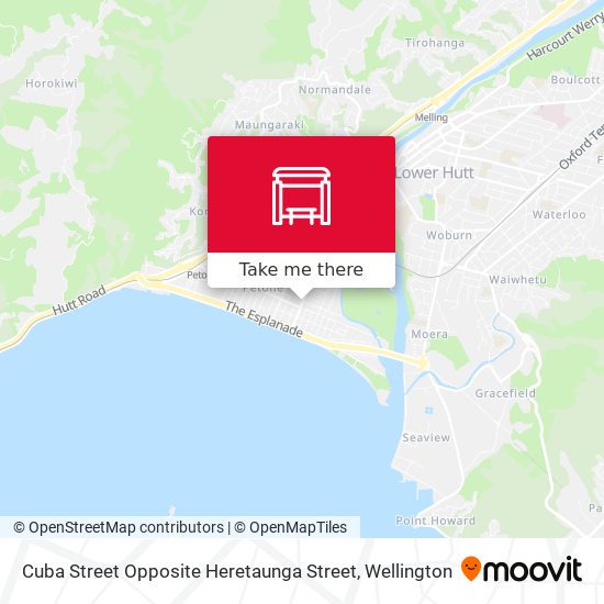 Cuba Street Opposite Heretaunga Street地图