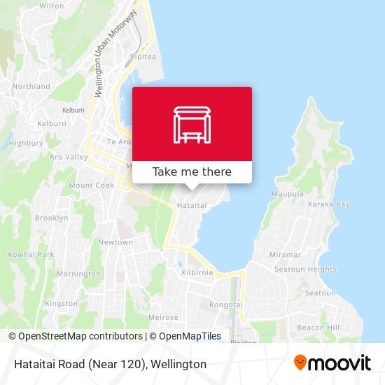 Hataitai Road (Near 120) map