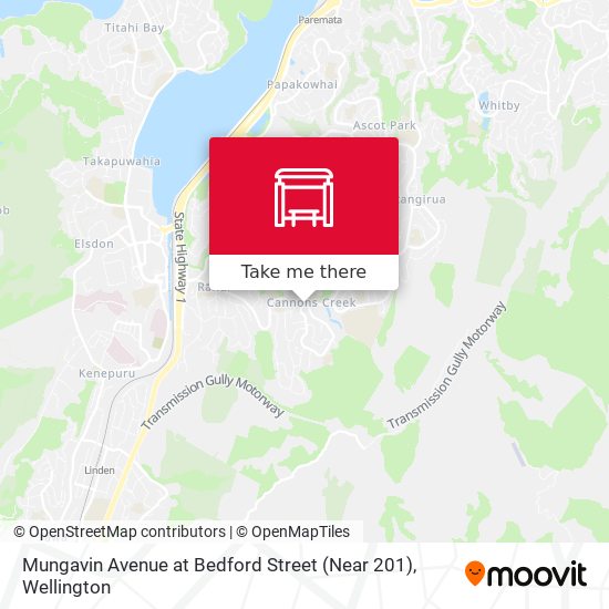 Mungavin Avenue at Bedford Street (Near 201) map