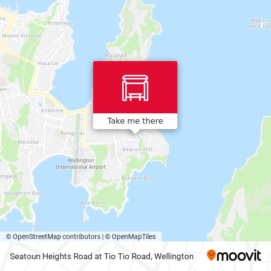 Seatoun Heights Road at Tio Tio Road map