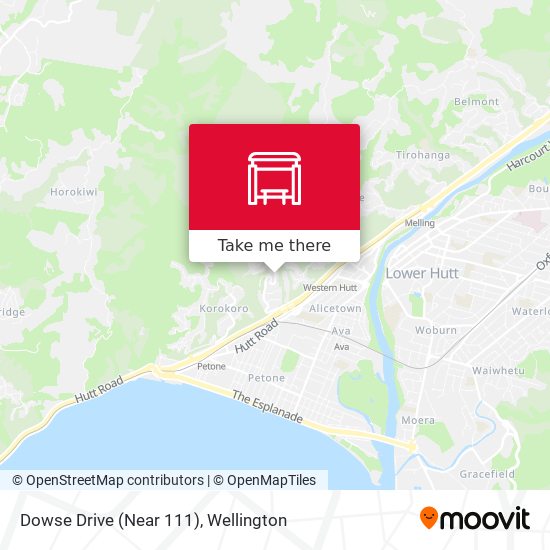 Dowse Drive (Near 111) map