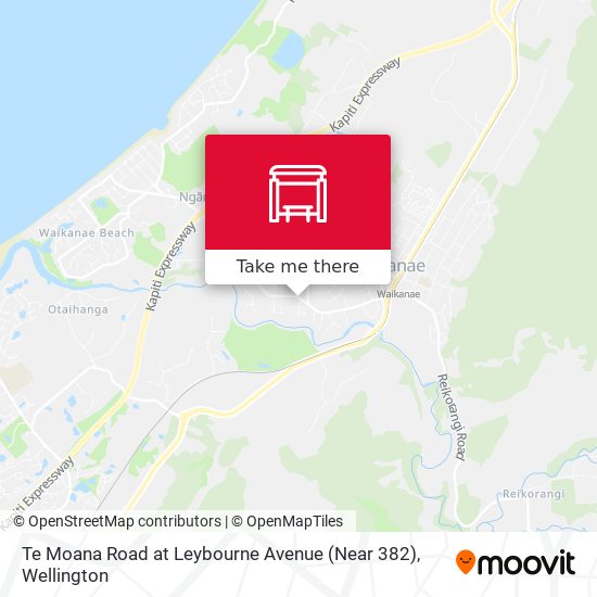 Te Moana Road at Leybourne Avenue (Near 382)地图
