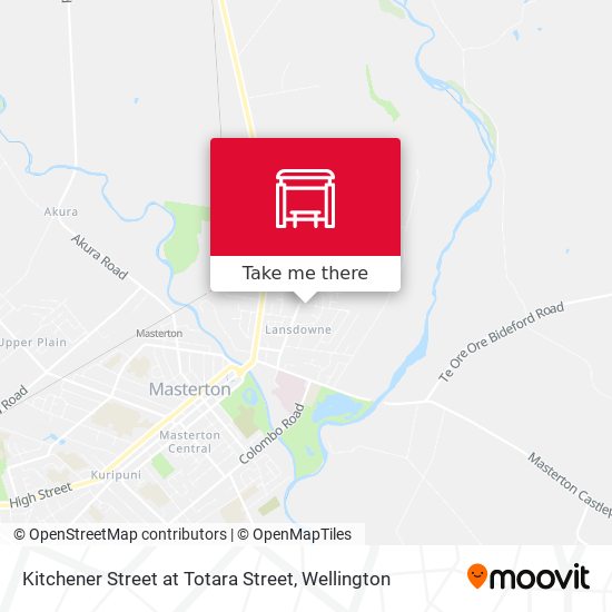 Kitchener Street at Totara Street地图