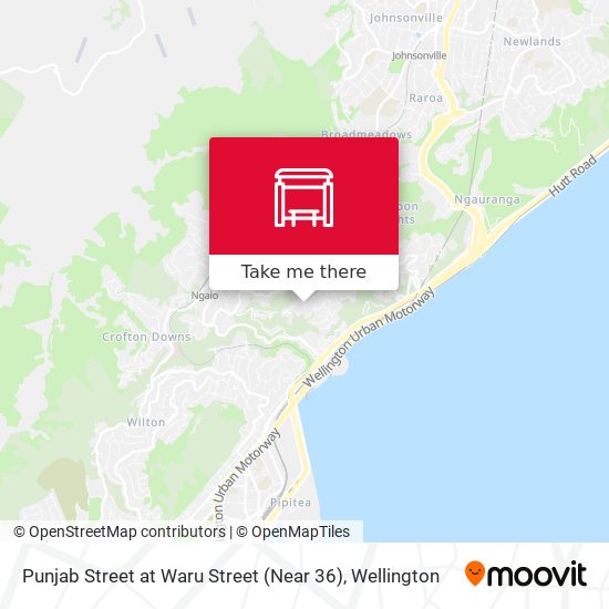 Punjab Street at Waru Street (Near 36) map