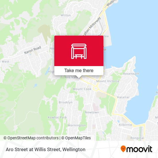 Aro Street at Willis Street map