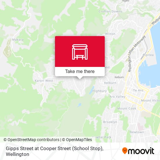 Gipps Street at Cooper Street (School Stop) map