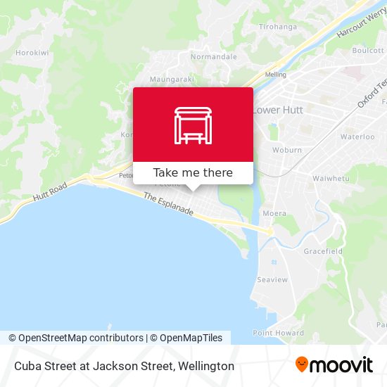 Cuba Street at Jackson Street地图