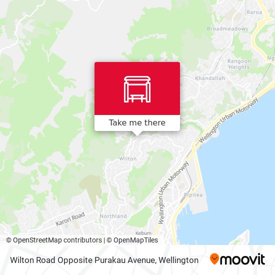 Wilton Road Opposite Purakau Avenue map