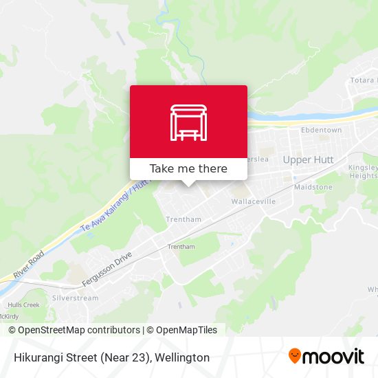 Hikurangi Street (Near 23) map