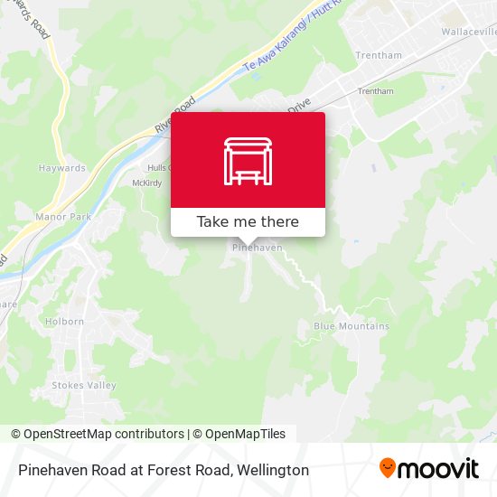 Pinehaven Road at Forest Road map