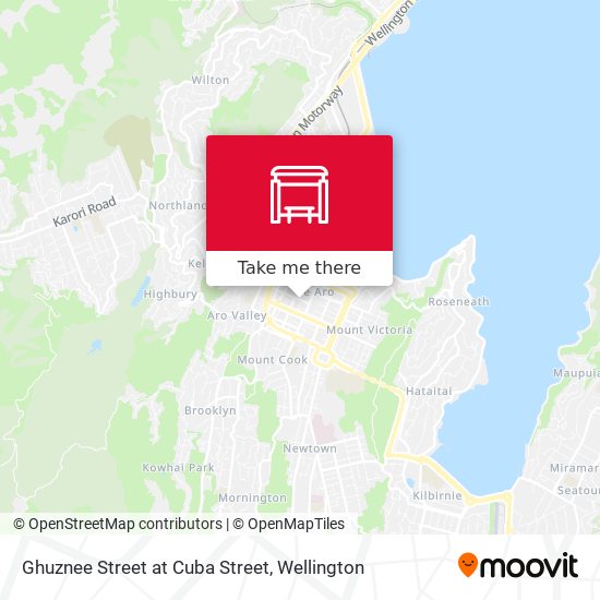 Ghuznee Street at Cuba Street map