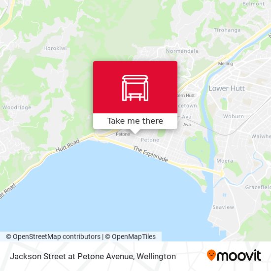 Jackson Street at Petone Avenue地图