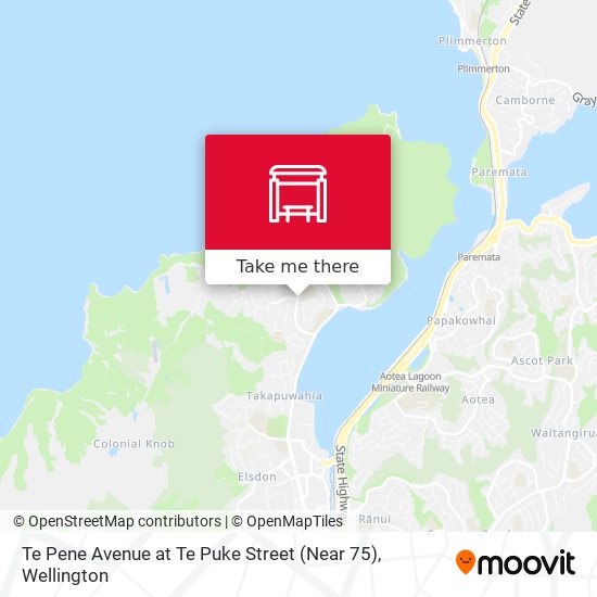 Te Pene Avenue at Te Puke Street (Near 75)地图