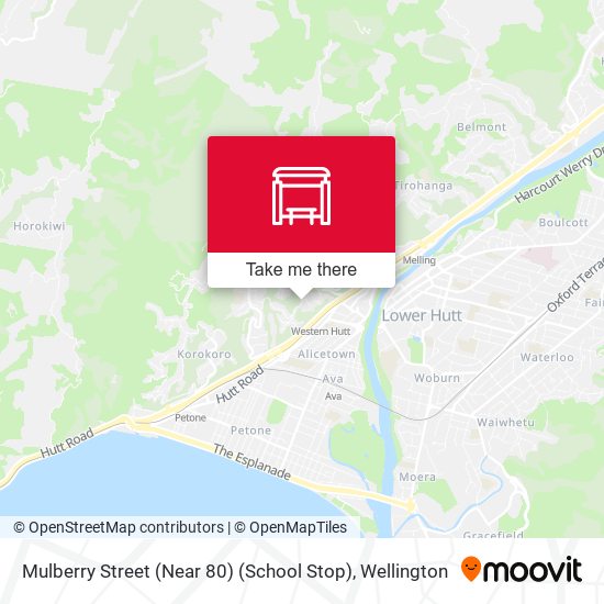 Mulberry Street (Near 80) (School Stop) map