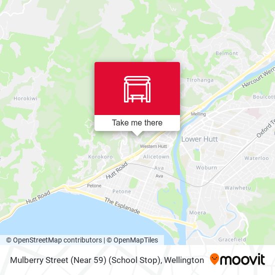 Mulberry Street (Near 59) (School Stop) map