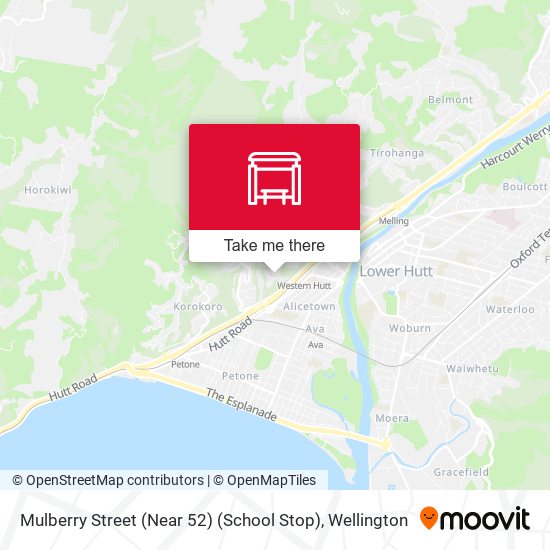 Mulberry Street (Near 52) (School Stop) map