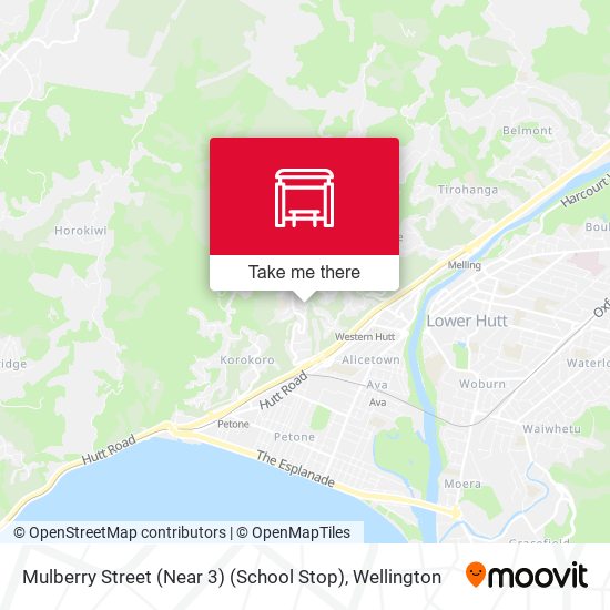 Mulberry Street (Near 3) (School Stop) map