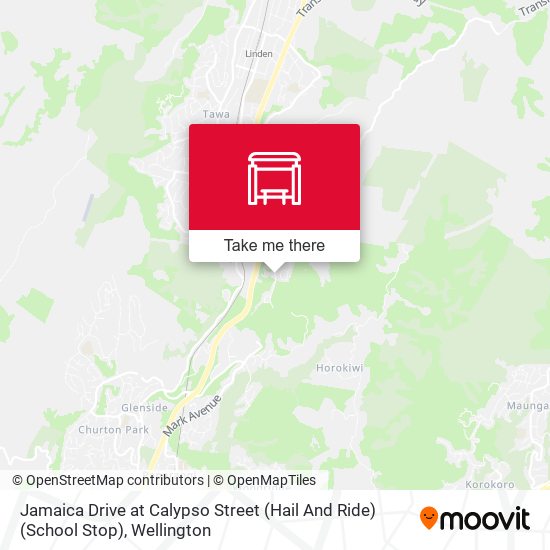 Jamaica Drive at Calypso Street (Hail And Ride) (School Stop) map