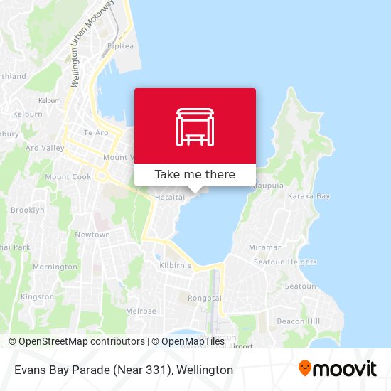 Evans Bay Parade (Near 331) map