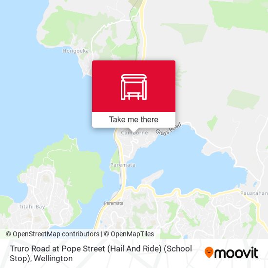 Truro Road at Pope Street (Hail And Ride) (School Stop) map