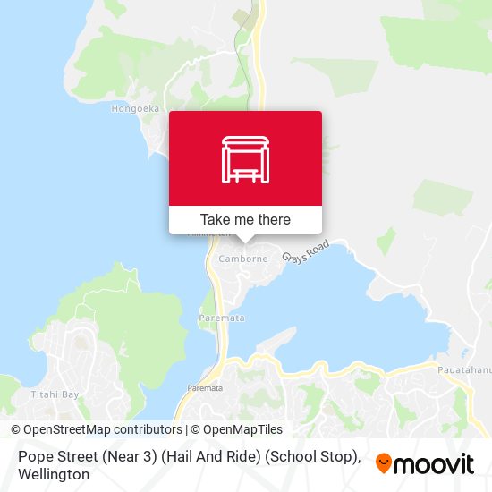 Pope Street (Near 3) (Hail And Ride) (School Stop) map