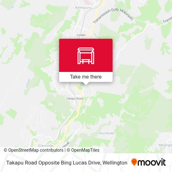 Takapu Road Opposite Bing Lucas Drive map