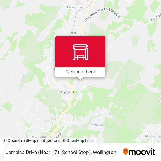 Jamaica Drive (Near 17) (School Stop) map