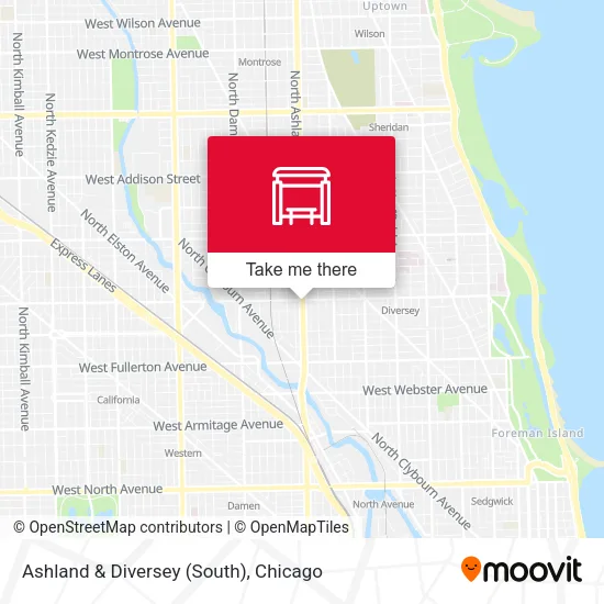 Ashland & Diversey (South) map