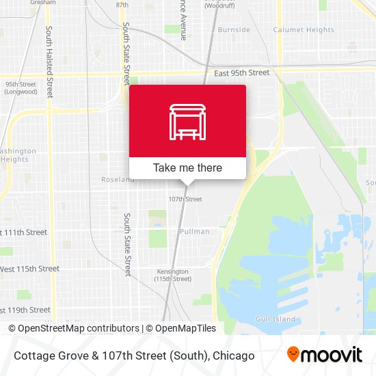 Cottage Grove & 107th Street (South) map