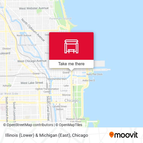 Illinois (Lower) & Michigan (East) map