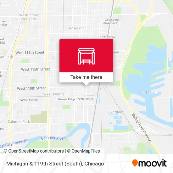 Michigan & 119th Street (South) map