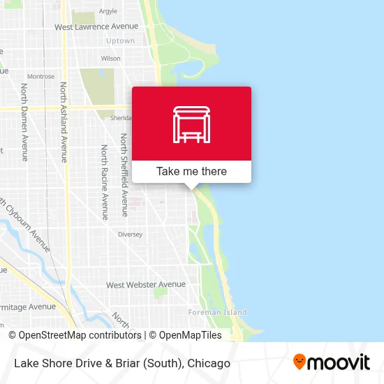 Lake Shore Drive & Briar (South) map