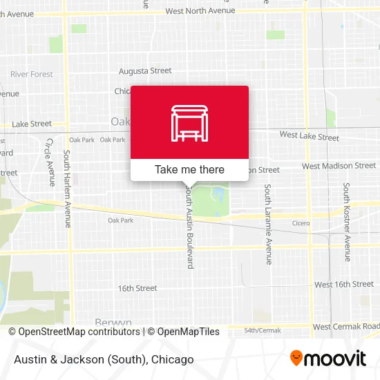 Austin & Jackson (South) map