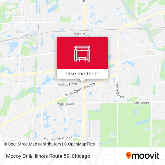 Mccoy Dr & Illinois Route 59 map