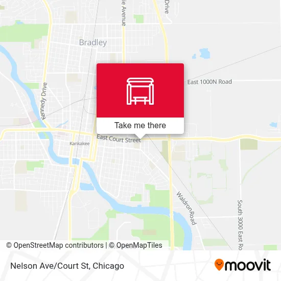 Nelson Ave/Court St map