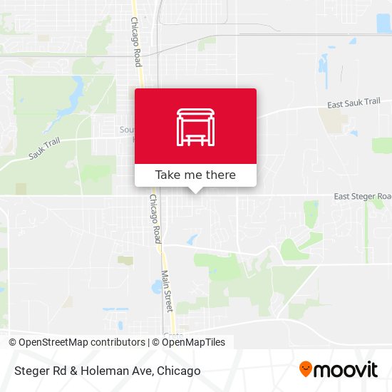 Steger Rd & Holeman Ave map